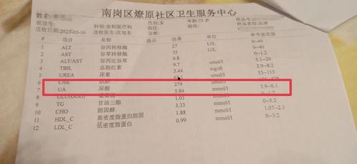 拿错化验单后夫人开始反抗了