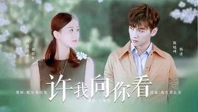 许我向你看,探寻心灵深处的故事与感悟