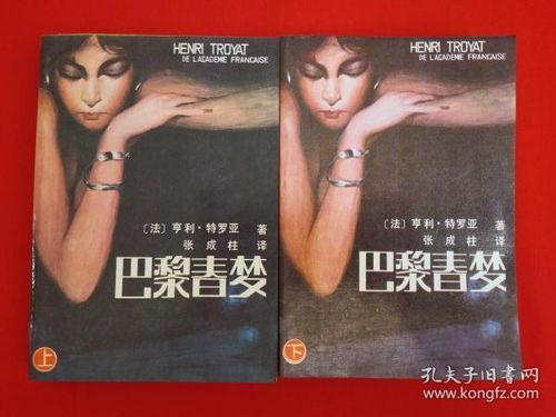 巴黎春梦,浪漫之都的温馨时光